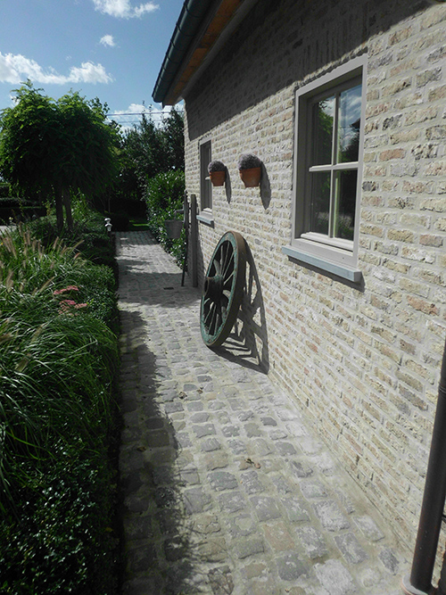 Tuin