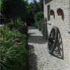 Tuin