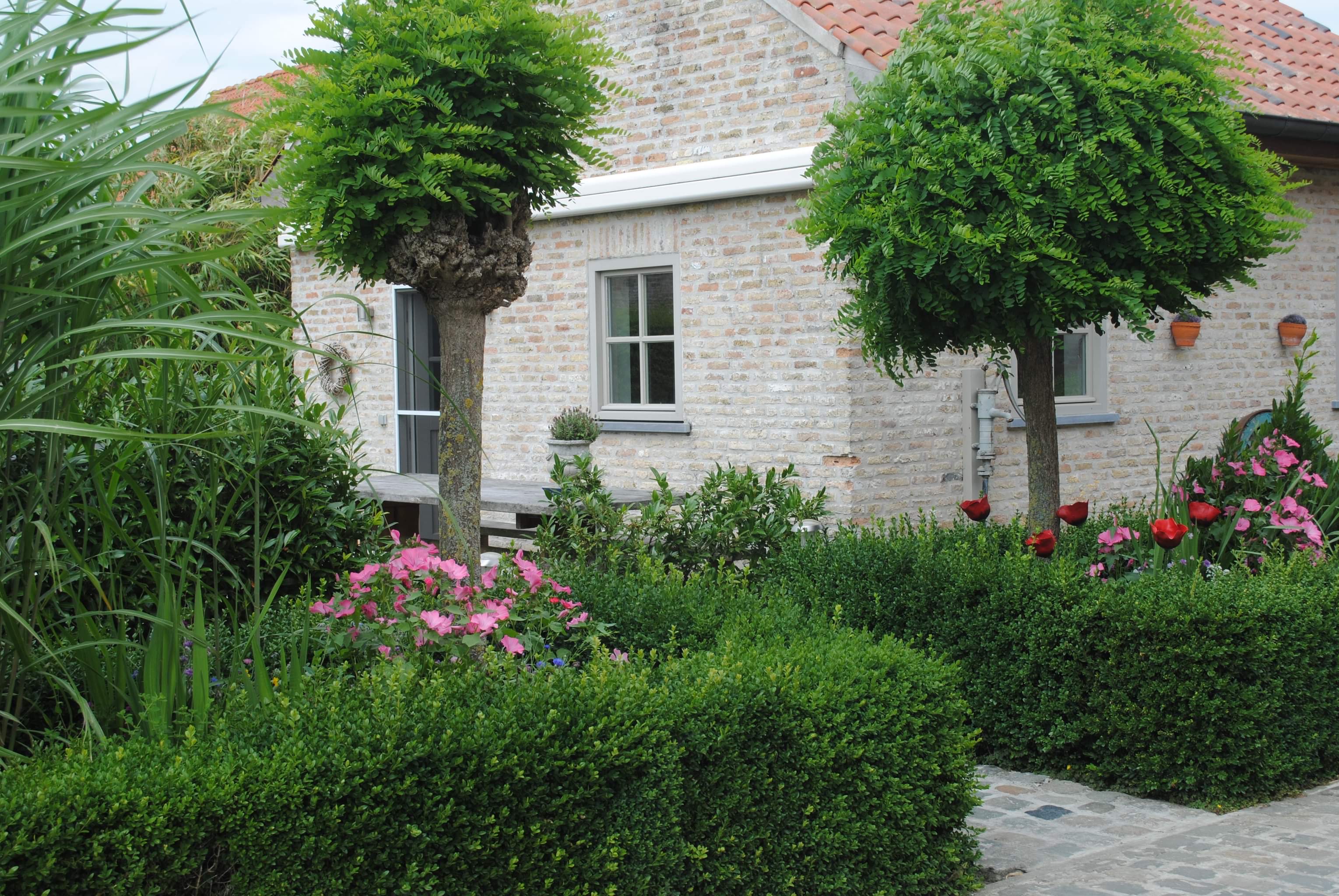 Tuin