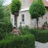 Tuin