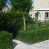 Tuin
