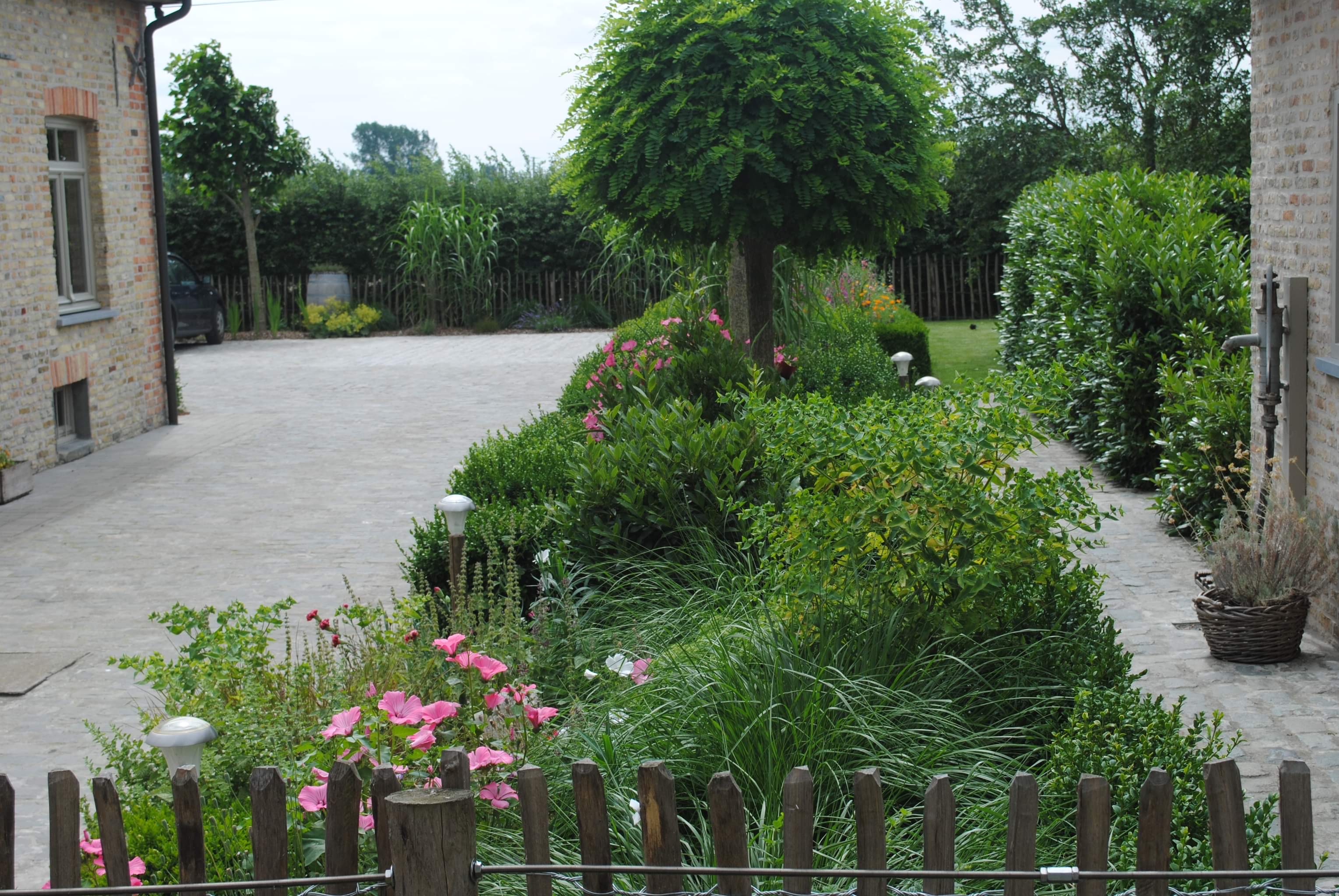 Tuin